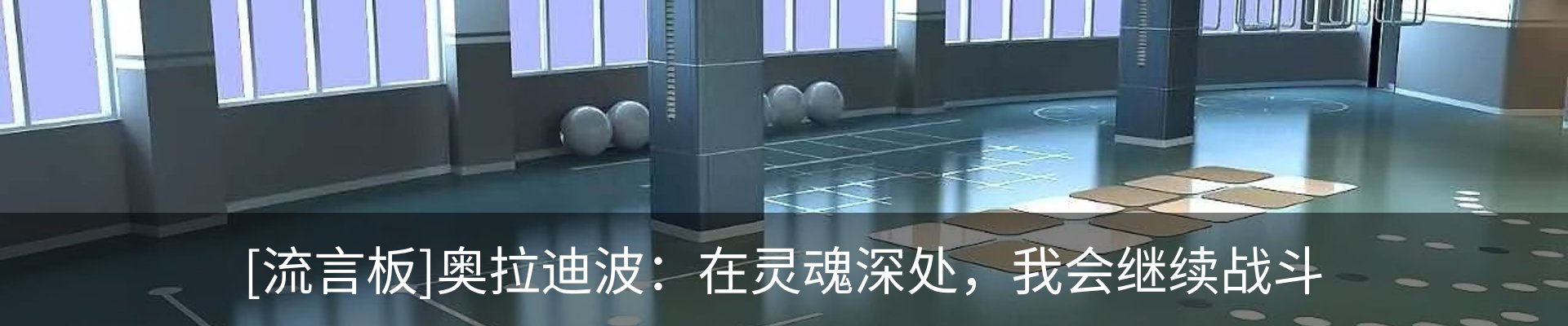 新闻动态